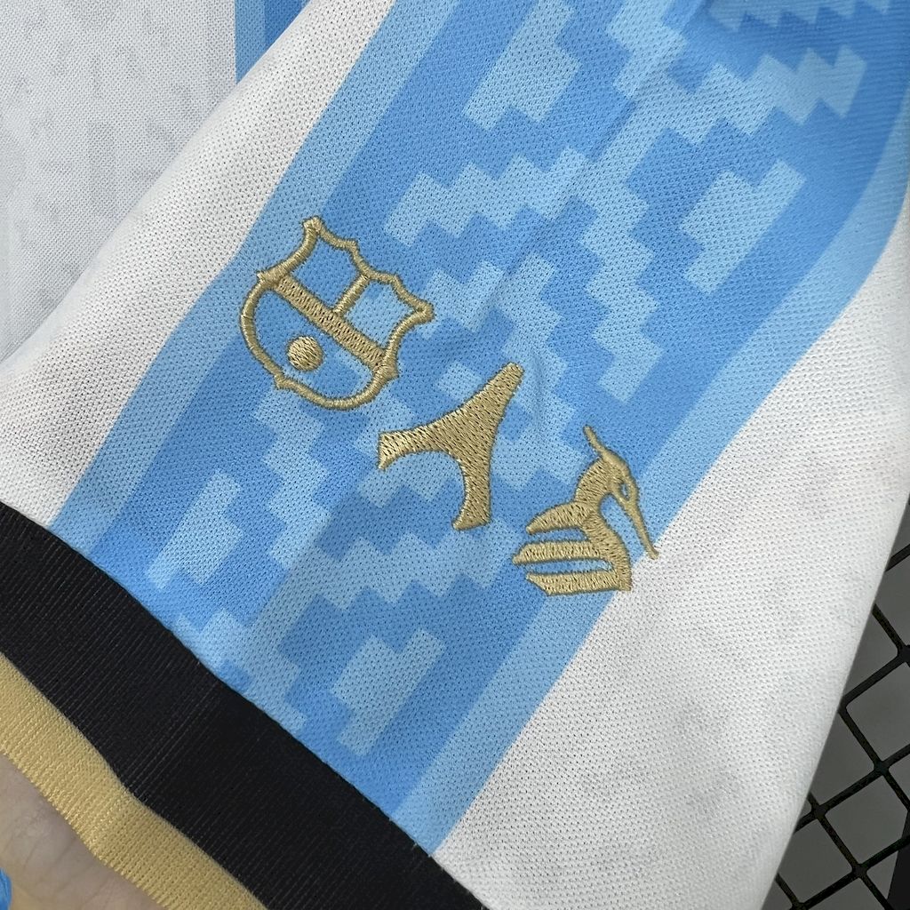 Jersey DA ARGENTINA 24/25 Special Edition